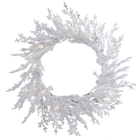 30" Pre-Lit Flocked Winter Twig Artificial Christmas Wreath with 50 LED Warm White Lights