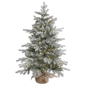 48" Pre-Lit Frosted Sable Pine Artificial Christmas Tree with Warm White Dura-Lit LED Lights