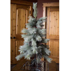 E155835 Holiday/Christmas/Christmas Trees