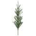 G188226 Holiday/Christmas/Christmas Trees