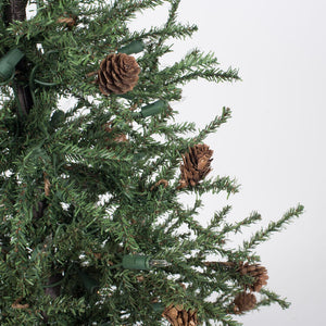 B803928 Holiday/Christmas/Christmas Trees