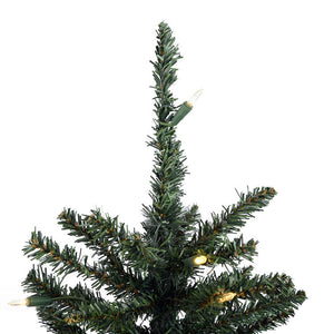 B160425LED Holiday/Christmas/Christmas Trees