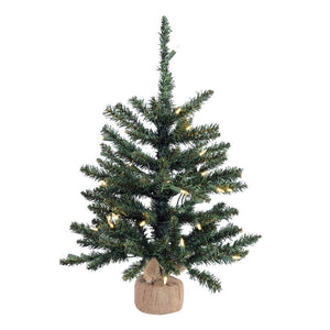 B160425LED Holiday/Christmas/Christmas Trees