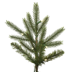 G172281LED Holiday/Christmas/Christmas Trees