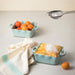 RFF220-RBL Kitchen/Bakeware/Baking & Casserole Dishes