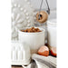 FA555-WHI Storage & Organization/Kitchen Storage/Food Storage Containers