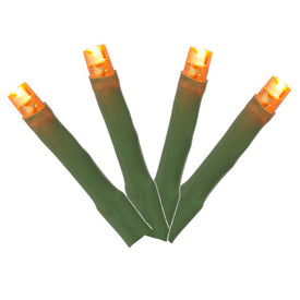 144-Count Orange Cluster Light Set on 24' Green Wire