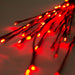 X15B603 Holiday/Christmas/Christmas Lights