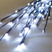 X15B605 Holiday/Christmas/Christmas Lights