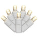 X6W3301 Holiday/Christmas/Christmas Lights