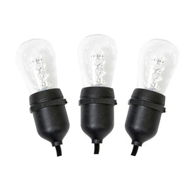 12-Count Warm White Transparent S14 LED Light Set on Black Wire