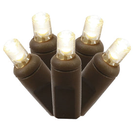 150-Count Warm White Wide-Angle LED Net Lights on Brown Wire