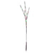 X15B624 Holiday/Christmas/Christmas Lights