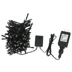 144-Count 24' Warm White Two-Function Indoor/Outdoor Spider Light Set with Black Wire