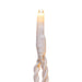 X17W241 Holiday/Christmas/Christmas Lights