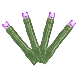 144-Count Purple Cluster Light Set on 24' Green Wire