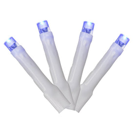 144-Count Blue Cluster Light Set on 24' White Wire