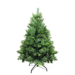 32265718 Holiday/Christmas/Christmas Trees