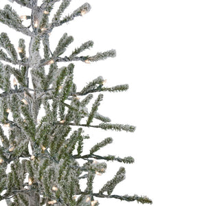 32620421 Holiday/Christmas/Christmas Trees