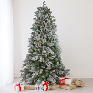 33388942 Holiday/Christmas/Christmas Trees