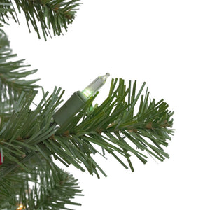 33532753 Holiday/Christmas/Christmas Trees