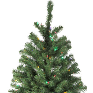 33532753 Holiday/Christmas/Christmas Trees