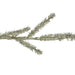 32620423 Holiday/Christmas/Christmas Trees