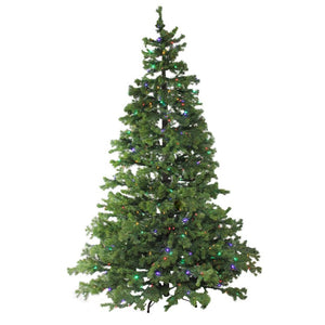 32633474 Holiday/Christmas/Christmas Trees