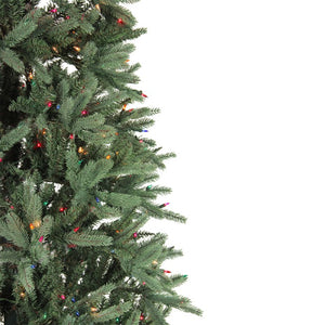 6218923 Holiday/Christmas/Christmas Trees