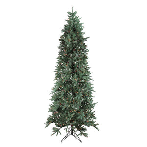6218923 Holiday/Christmas/Christmas Trees