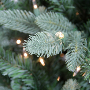 31451105 Holiday/Christmas/Christmas Trees