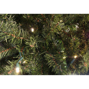 32913253 Holiday/Christmas/Christmas Trees