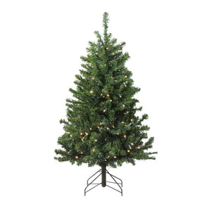 32913253 Holiday/Christmas/Christmas Trees