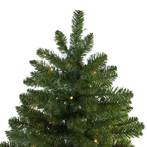 31451231 Holiday/Christmas/Christmas Trees