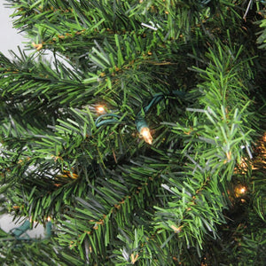 32913223 Holiday/Christmas/Christmas Trees