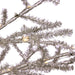 32913317 Holiday/Christmas/Christmas Trees