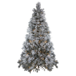 33388950 Holiday/Christmas/Christmas Trees