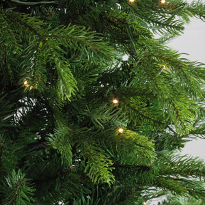 33370940 Holiday/Christmas/Christmas Trees