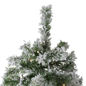 33663456 Holiday/Christmas/Christmas Trees