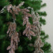 33911983 Holiday/Christmas/Christmas Indoor Decor