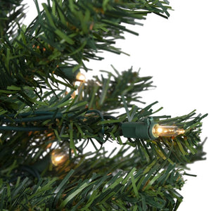32272518 Holiday/Christmas/Christmas Trees
