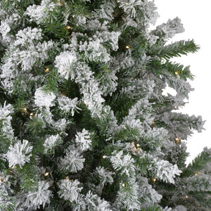 33663457 Holiday/Christmas/Christmas Trees