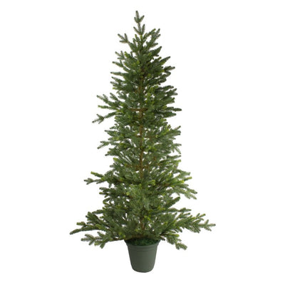 33388955 Holiday/Christmas/Christmas Trees