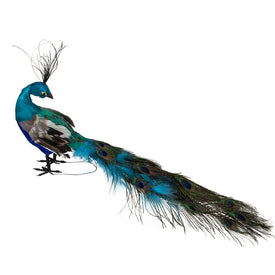 23.5" Regal Peacock with Closed Tail Feathers Christmas Decoration