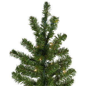 33388957 Holiday/Christmas/Christmas Trees