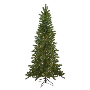 33388957 Holiday/Christmas/Christmas Trees