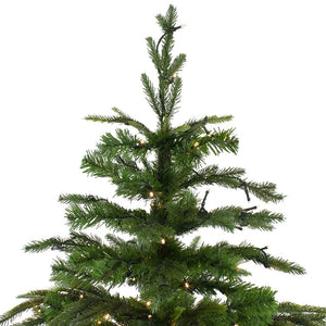 33663400 Holiday/Christmas/Christmas Trees