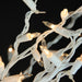32606084 Holiday/Christmas/Christmas Trees