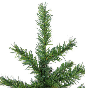 32619383 Holiday/Christmas/Christmas Trees