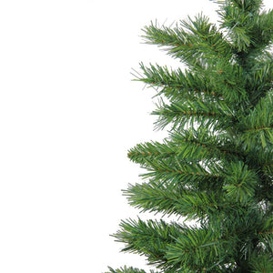 32619383 Holiday/Christmas/Christmas Trees